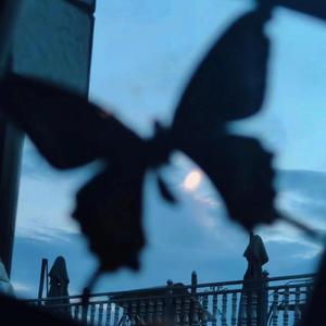 Chine老头勃起视频
